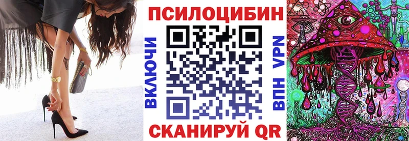 Псилоцибиновые грибы Psilocybe Балей